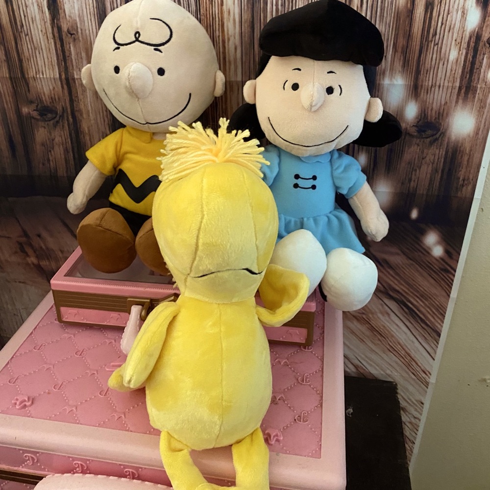 Charlie Brown and friends